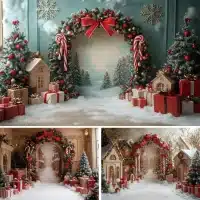 Arrière plan de photographie de Noël , toile de fond